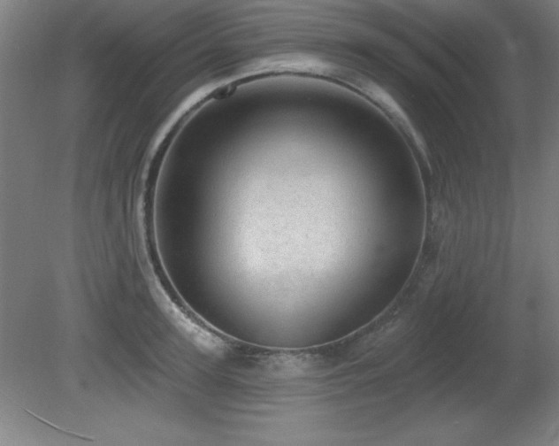 X0000082160947200701191238