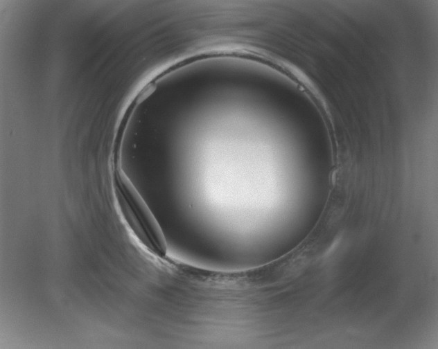 X0000082160951200701191238