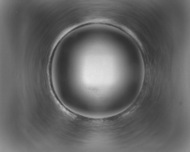 X0000082160959200701191238