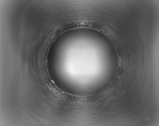 X0000082160961200701191237