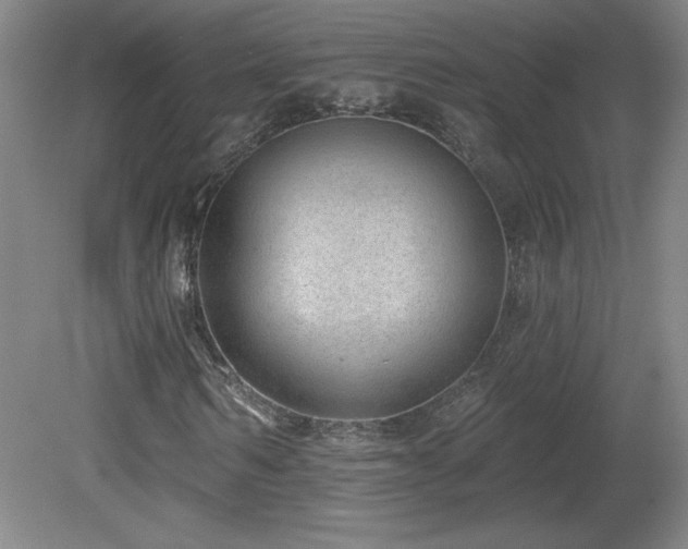 X0000082160962200701191237