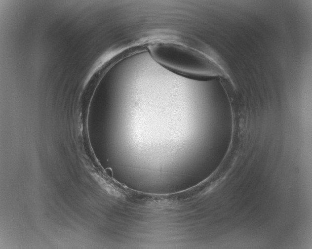 X0000082160973200701191237