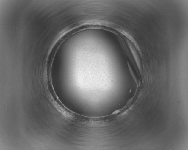 X0000082160976200701191237