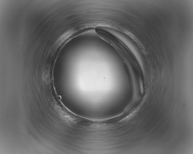 X0000082160977200701191237