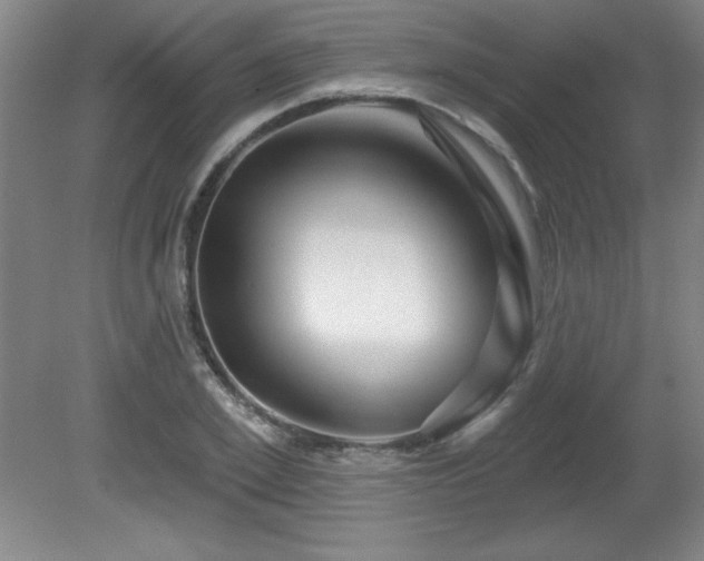 X0000082160981200701191237