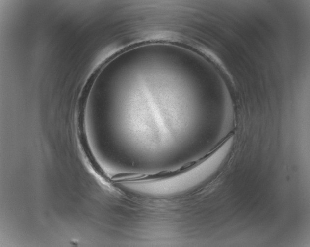 X0000082160991200701191237
