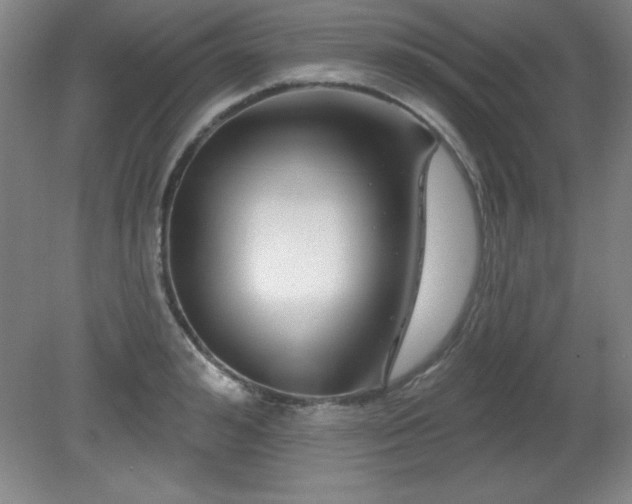 X0000082160992200701191237