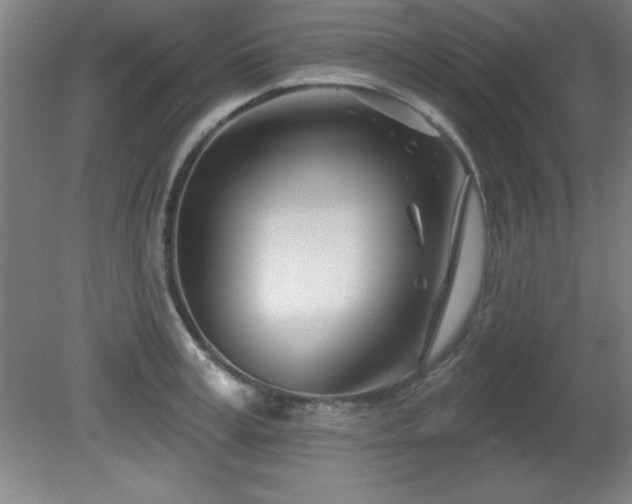 X0000082160995200701191237