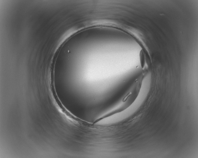 X0000082160999200701191237