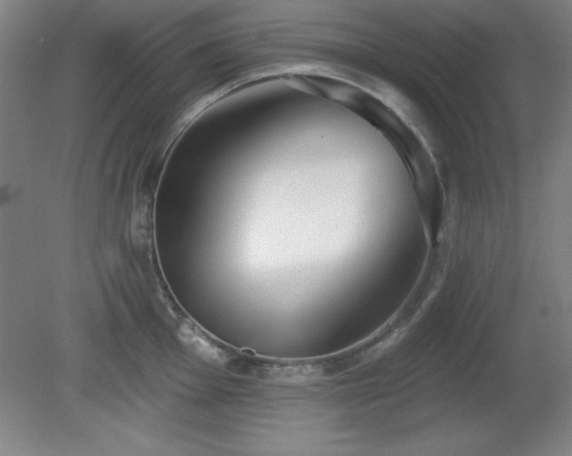 X0000082161001200701191237