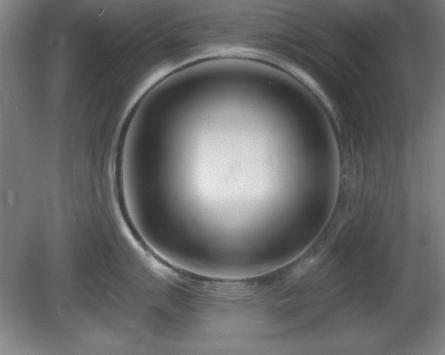 X0000082161007200701191237