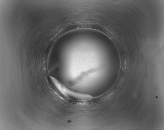 X0000082161010200701191236
