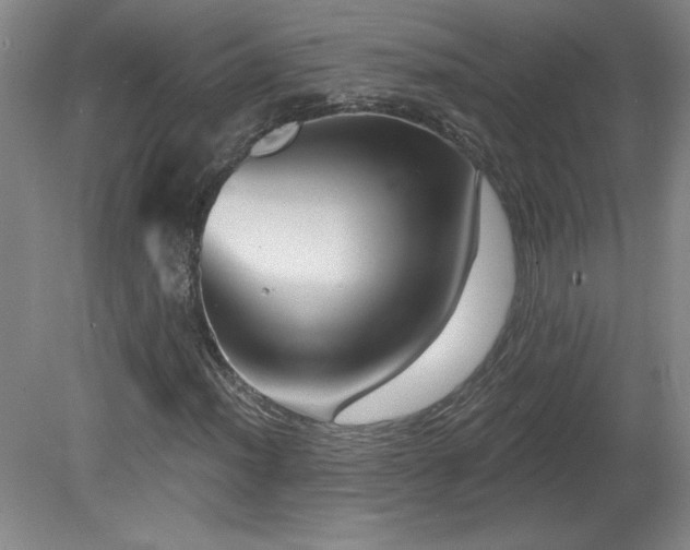 X0000082161012200701191236