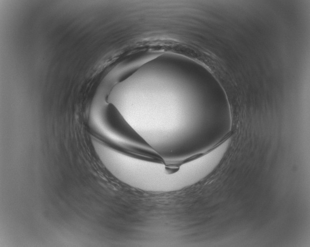 X0000082161014200701191236
