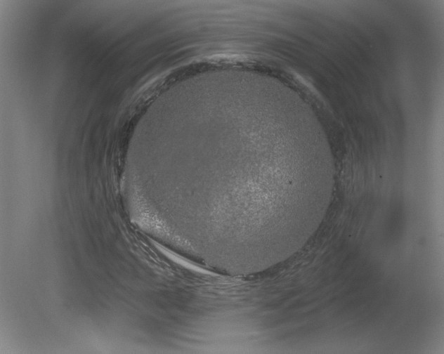 X0000082161015200701191236