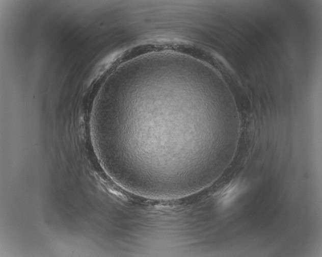 X0000082161016200701191236