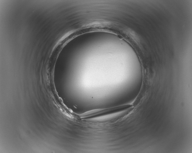 X0000082161018200701191236