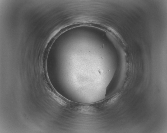 X0000082161023200701191236