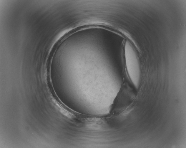 X0000082161024200701191236