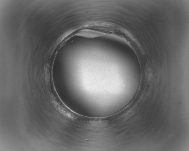 X0000082161025200701191236