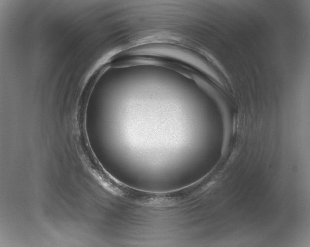 X0000082161026200701191236