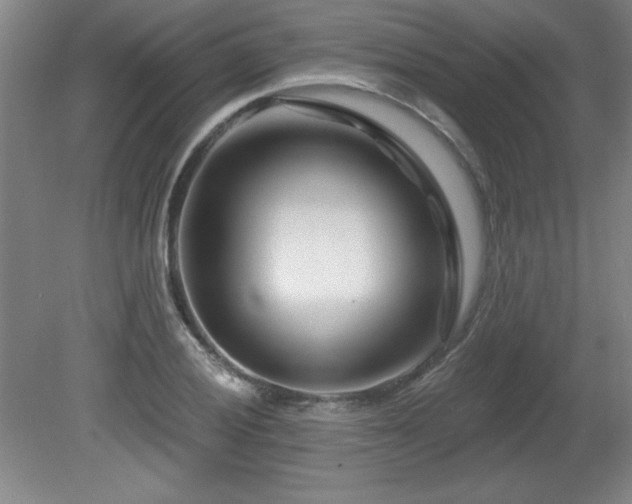 X0000082161028200701191236