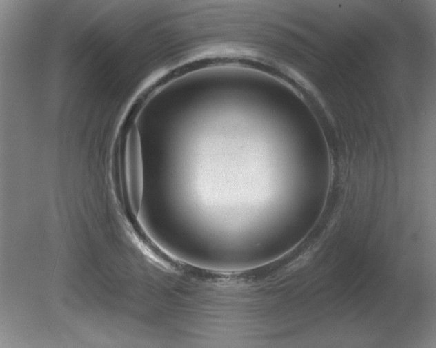 X0000082161029200701191236