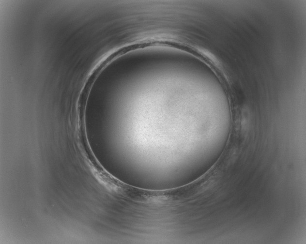 X0000082161031200701191236