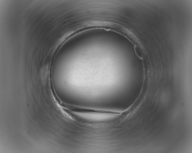 X0000082161033200701191236