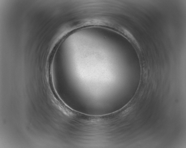 X0000082161035200701191236