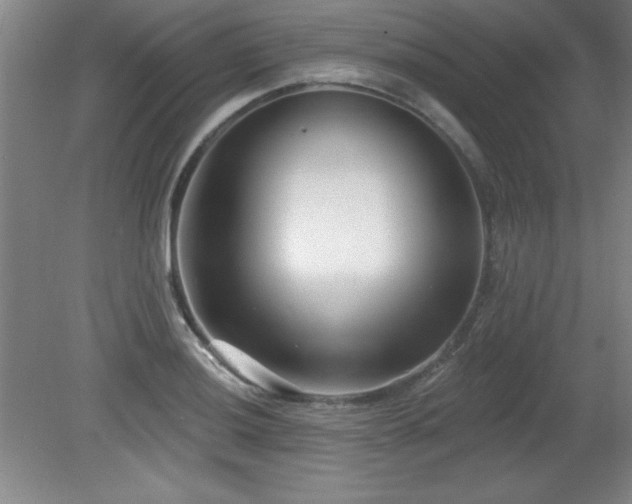 X0000082161036200701191236