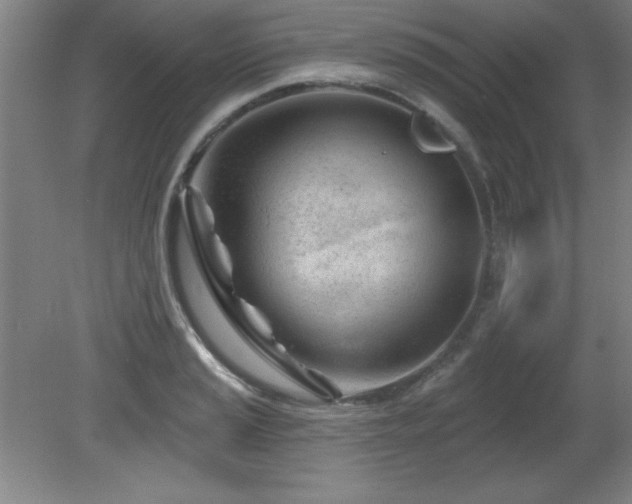 X0000082161037200701191236
