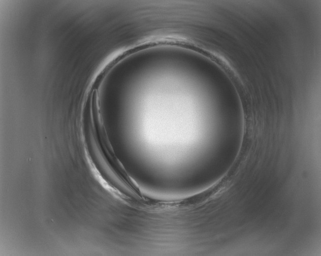 X0000082161038200701191236
