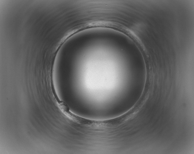 X0000082161041200701191236