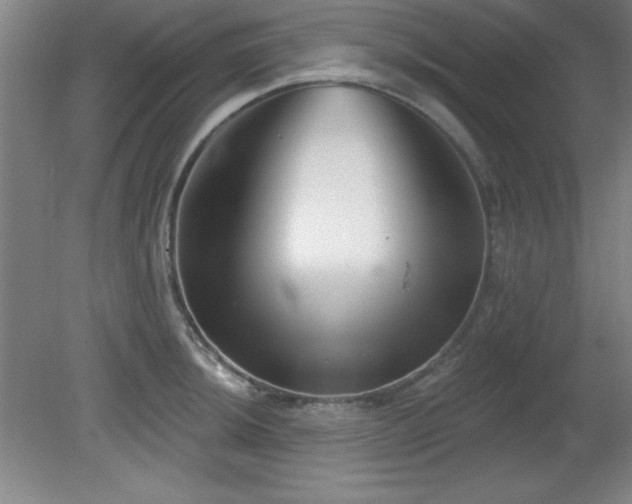 X0000082161044200701191236