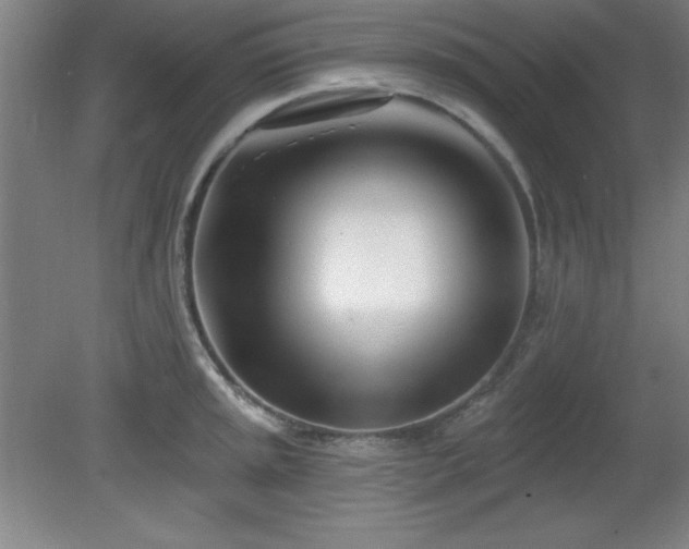 X0000082161045200701191236