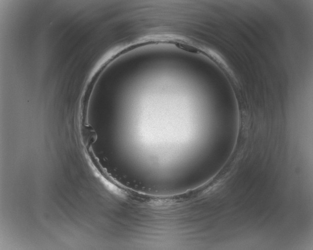 X0000082161046200701191236