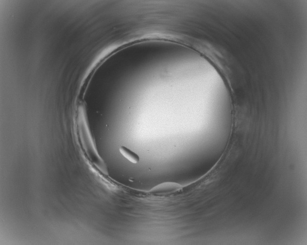 X0000082161048200701191236