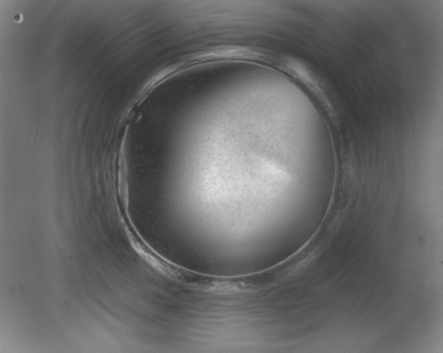 X0000082161049200701191236