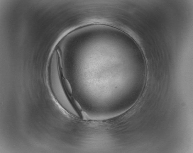 X0000082161056200701191236