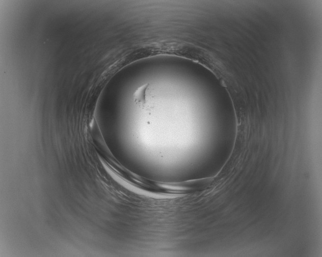 X0000082161058200701191236