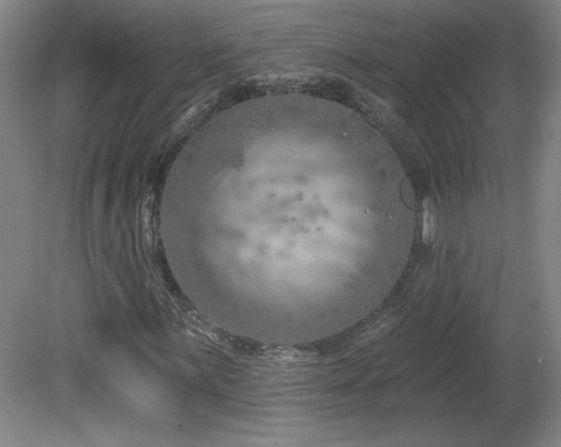 X0000082161059200701191236
