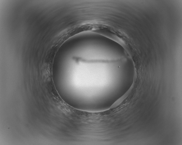 X0000082161062200701191236