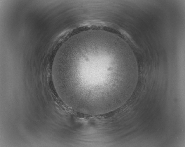 X0000082161063200701191236