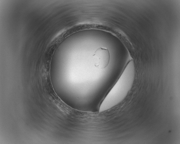 X0000082161064200701191236