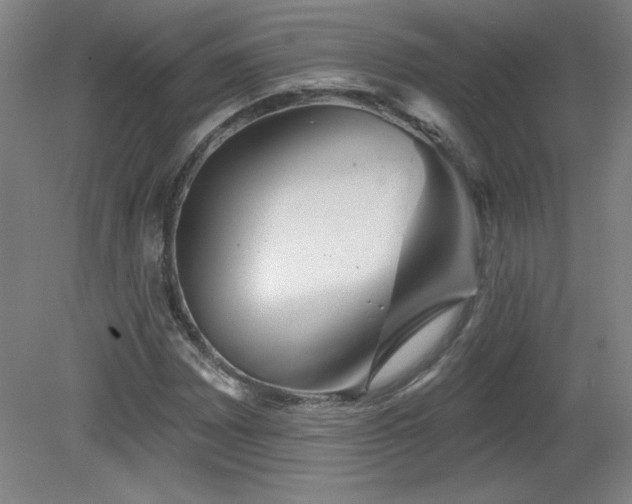 X0000082161065200701191236