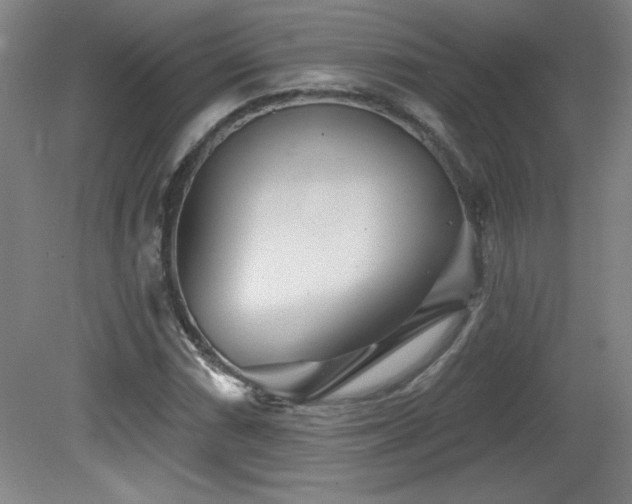 X0000082161066200701191236