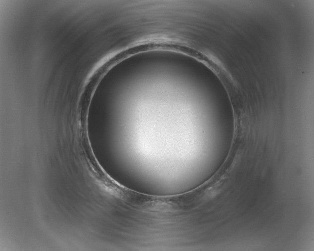 X0000082161070200701191235