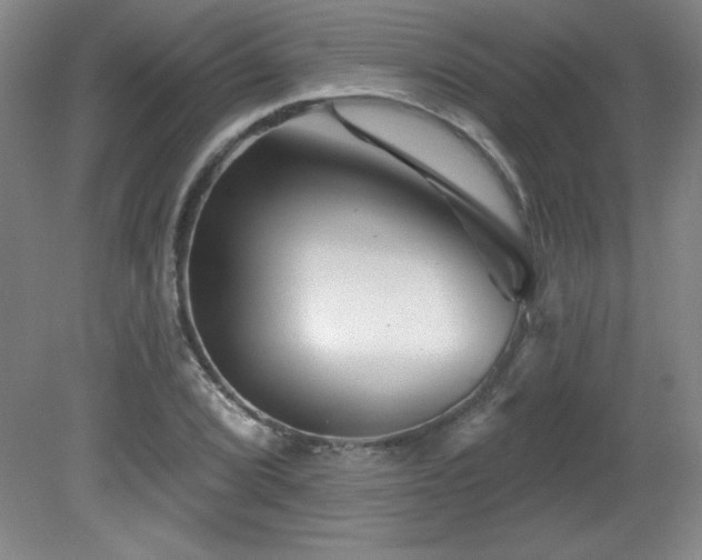 X0000082161072200701191235