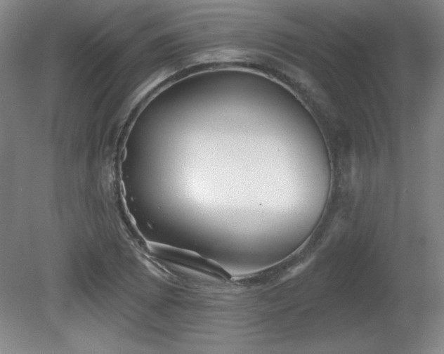 X0000082161073200701191235